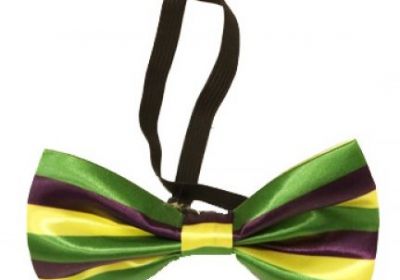 PPG Striped Bow Tie