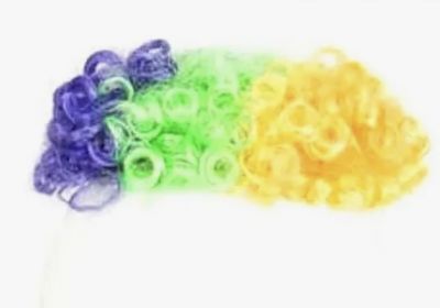 Mardi Gras Dog Wig